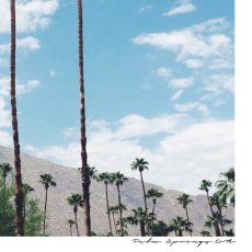 画像2: CALIFORNIA カリフォルニア PALM SPRINGS パームスプリングス　砂漠ポスター (2)
