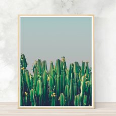 画像2: Cactus & Blue sky -青空に佇むサボテン おしゃれポスター (2)