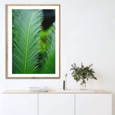 画像2: Tropical Jungle Leaf トロピカル 植物 ポスター (2)