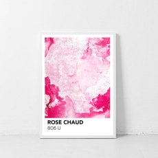 画像1: PANTONE パントーン マーブル Marbre Rose Chaud おしゃれポスター (1)