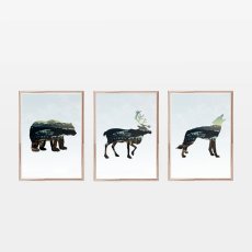 画像1: カリフォルニア Animals アニマル アートポスター （3枚組） (1)