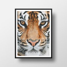 画像2: タイガー ★ TIGER FACE アニマル モノトーン アート 動物おしゃれポスター (2)