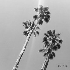 画像2: カリフォルニア California Palm Tree パームツリー モノトーン ポスター 02 (2)
