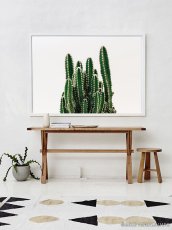 画像2: サボテン CACTUS 植物 スタイリッシュ ポスター  (2)