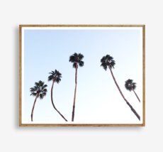 画像1: カリフォルニア 青空とパームツリー ポスター (1)