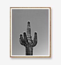 画像1: CALIFORNIA BIG Cactus サボテン モノトーン　ポスタ (H) (1)