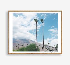 画像1: CALIFORNIA カリフォルニア PALM SPRINGS パームスプリングス　砂漠ポスター (1)
