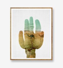 画像1: サボテン Cactus グラデーション ポスター (1)