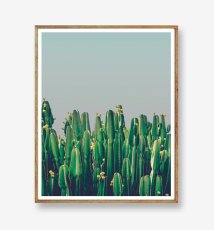 画像1: Cactus & Blue sky -青空に佇むサボテン おしゃれポスター (1)