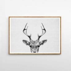 画像1: DEER HEAD 子鹿のモノクロ アートポスター (W) (1)