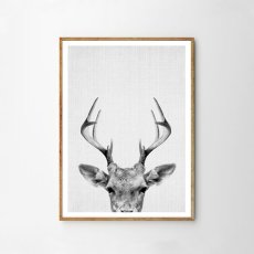 画像1: DEER HEAD 子鹿のモノクロ アート 動物ポスター (1)