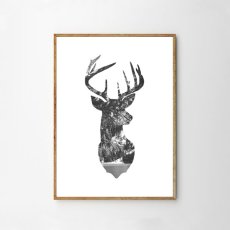 画像1: NATURE IN DEER HEAD ★ 鹿 自然 モノトーン アートポスター (1)
