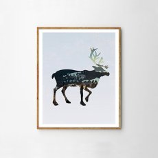 画像1: カリフォルニア 大鹿 NATURE ポスター (1)