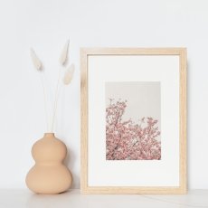 画像2: Cherry Blossoms Pinkish お花 桜 ポスター (2)