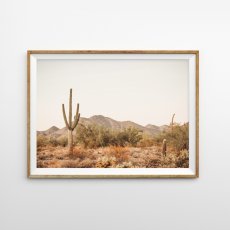 画像1: ALIZONA DESERT アリゾナ 砂漠とサボテン  ポスター (1)