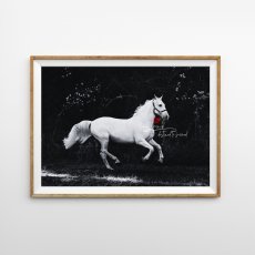 画像1: BORN TO SUCCESS Horse 馬 アートポスター (1)