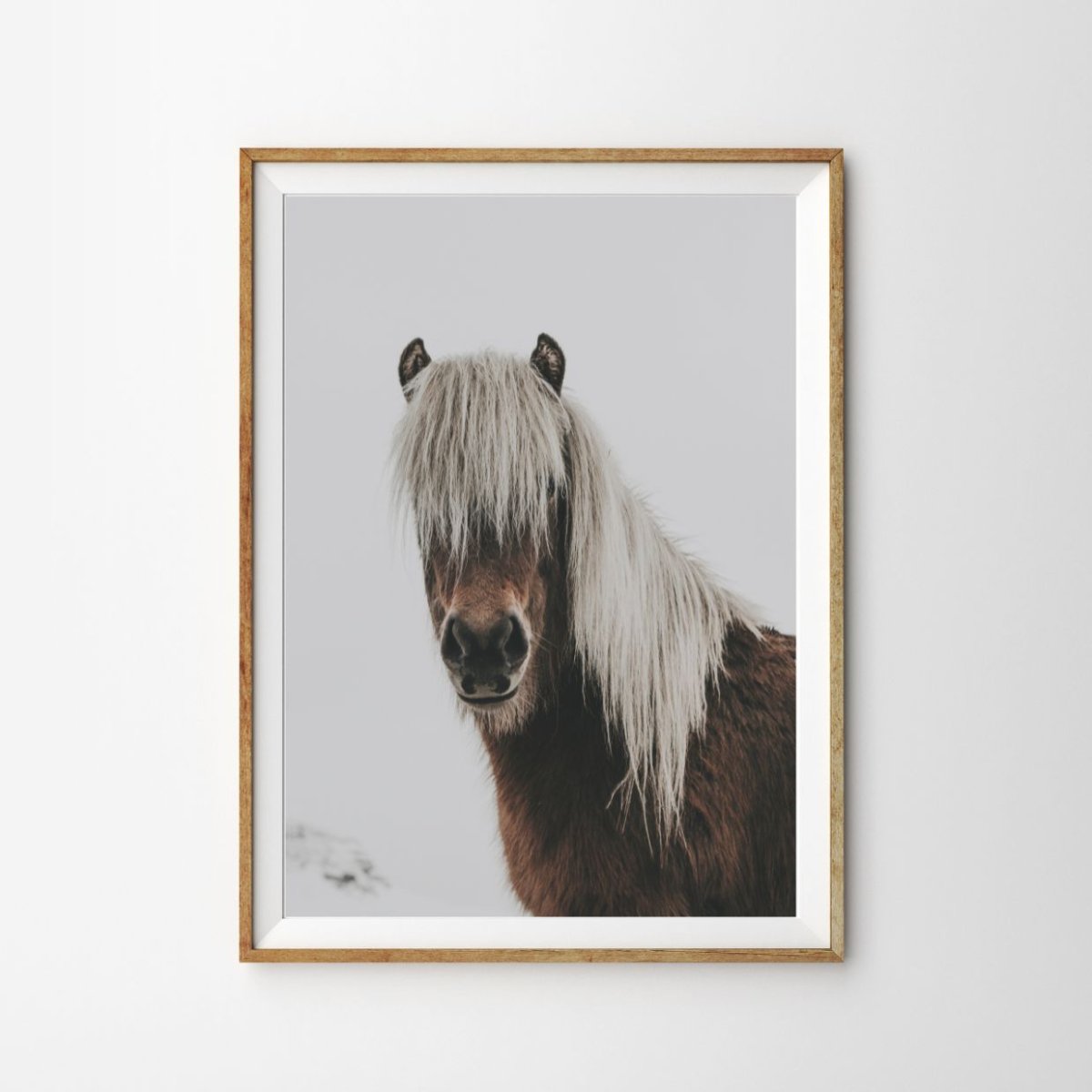 画像1: アイスランド馬 ポスター (1)
