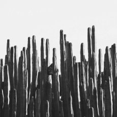 画像3: サボテン モノトーン アートポスター｜砂漠 ボタニカル インテリアポスター (3)