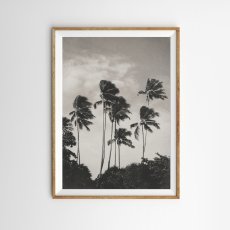 画像1: ヤシの木 ポスター｜パームツリー モノクロ写真 カリフォルニア｜西海岸インテリア (1)