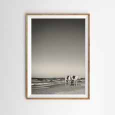 画像1: モノクロ写真 ポスター｜ビーチと馬 カリフォルニア｜西海岸インテリア アート (1)