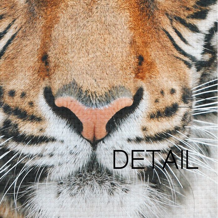 タイガー Tiger Face アニマル モノトーン アート 動物おしゃれポスター 海外ポスター おしゃれポスター 通販 カリフォルニア プリント コレクティブ