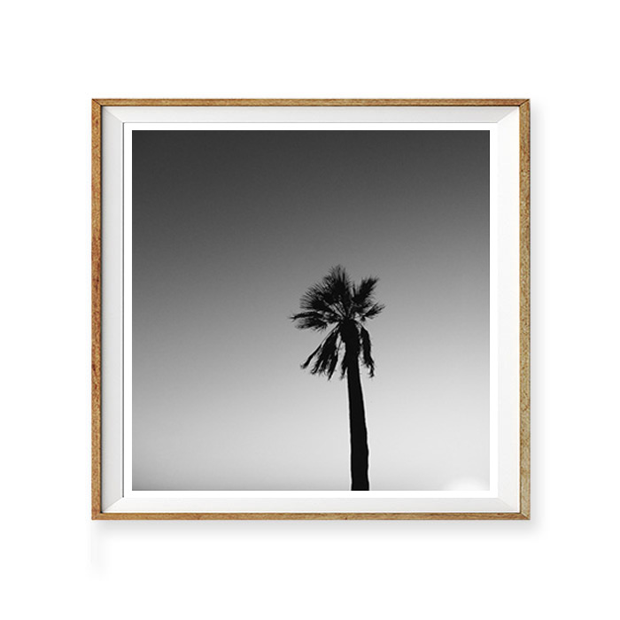 画像1: CALIFORNIA カリフォルニア モノトーン パームツリー　ポスター (1)