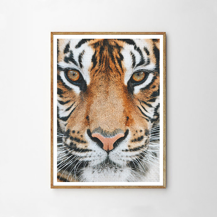 画像1: タイガー ★ TIGER FACE アニマル モノトーン アート 動物おしゃれポスター (1)