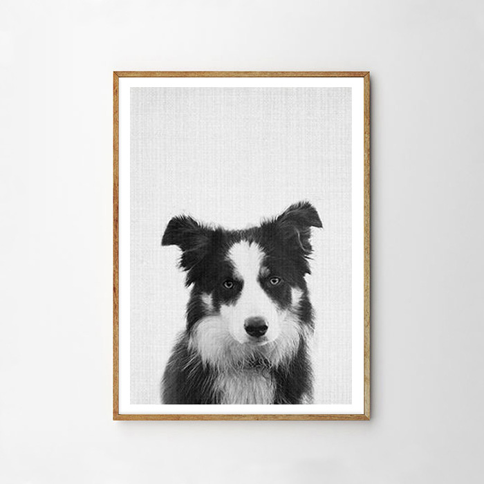 画像1: DOG ★ アニマル モノクロ アート 動物ポスター (1)