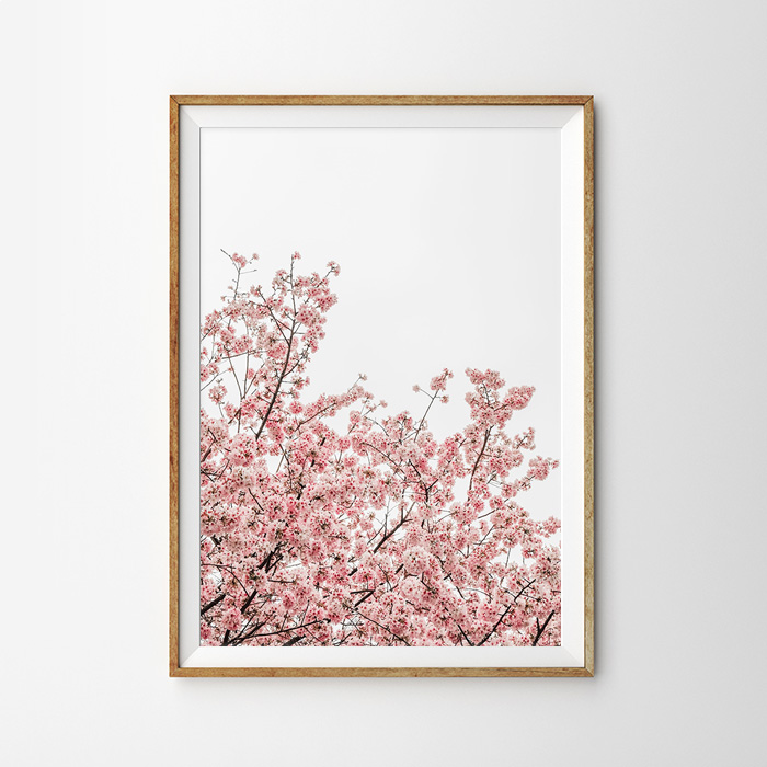 画像1: Cherry Blossoms Pinkish お花 桜 ポスター (1)