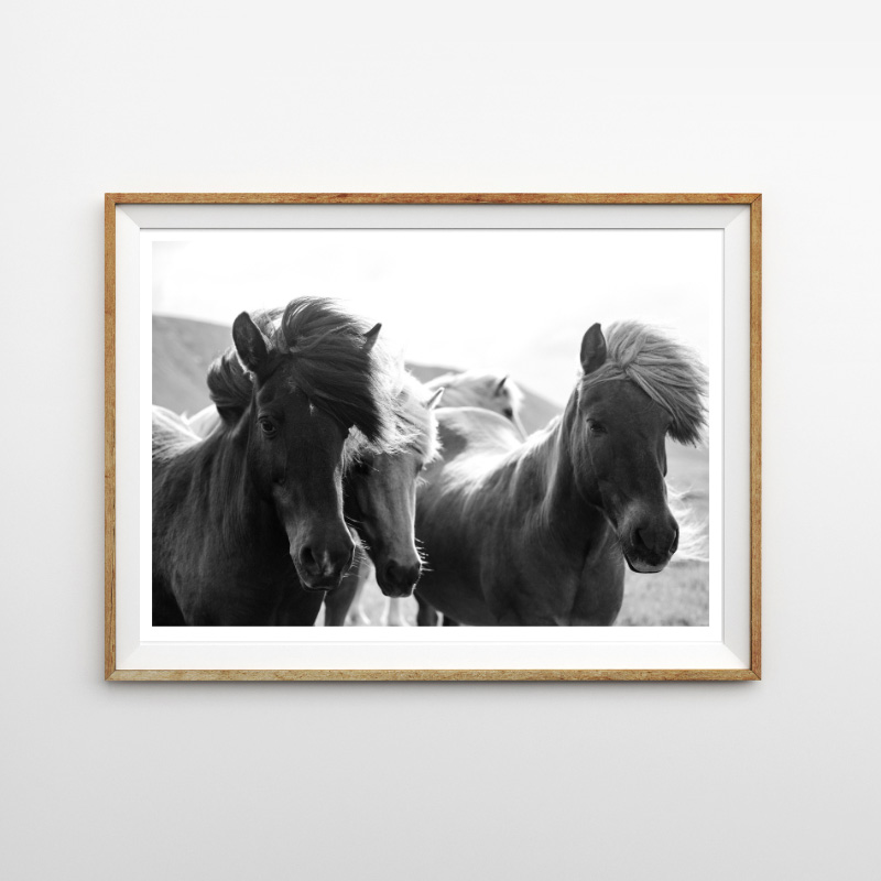 画像1: HORSE 馬の群れ おしゃれなポスター (1)