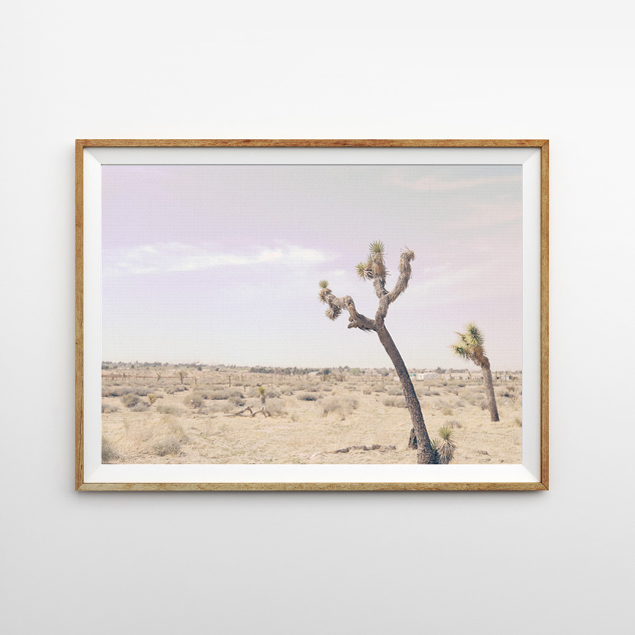 画像1: DESERT CACTUS PURPLE SKY サボテン砂漠ポスター (1)