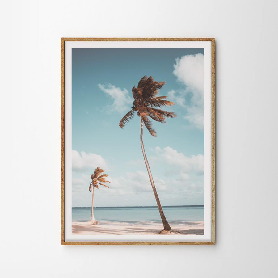画像1: 南国のビーチランド PALMS TREE ポスター (1)