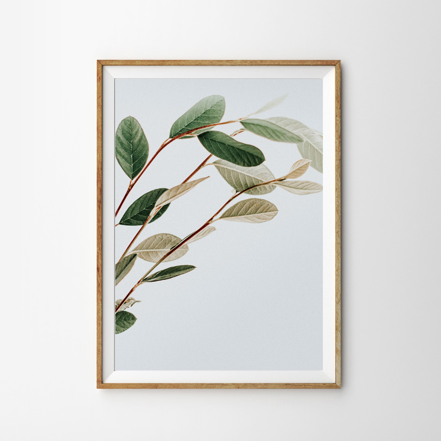 画像1: ボタニカル 植物 アート ポスター (1)