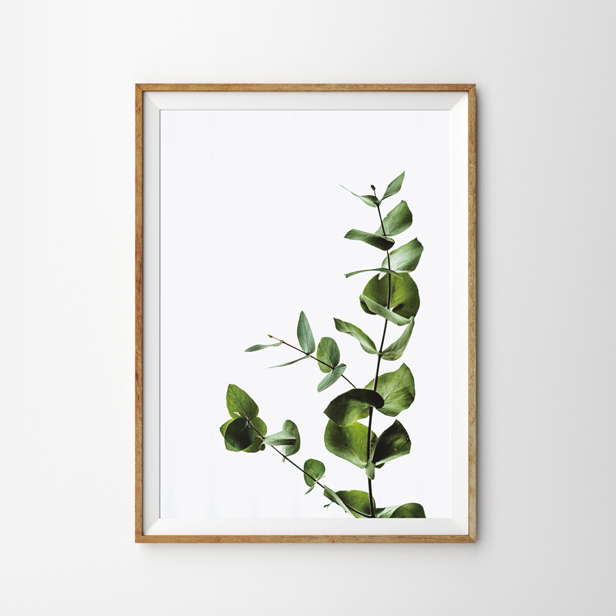 画像1: オシャレな植物モチーフのアートポスター  (1)